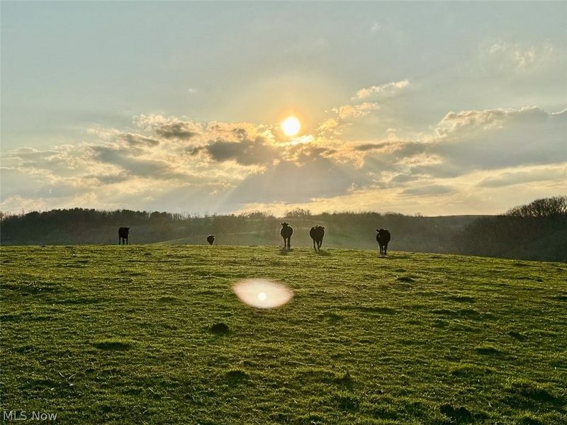 68895 Lloydsville Bannock Road, Belmont, OH 43718 Photo 45