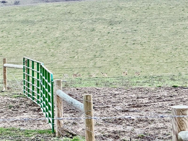 68895 Lloydsville Bannock Road, Belmont, OH 43718 Photo 47