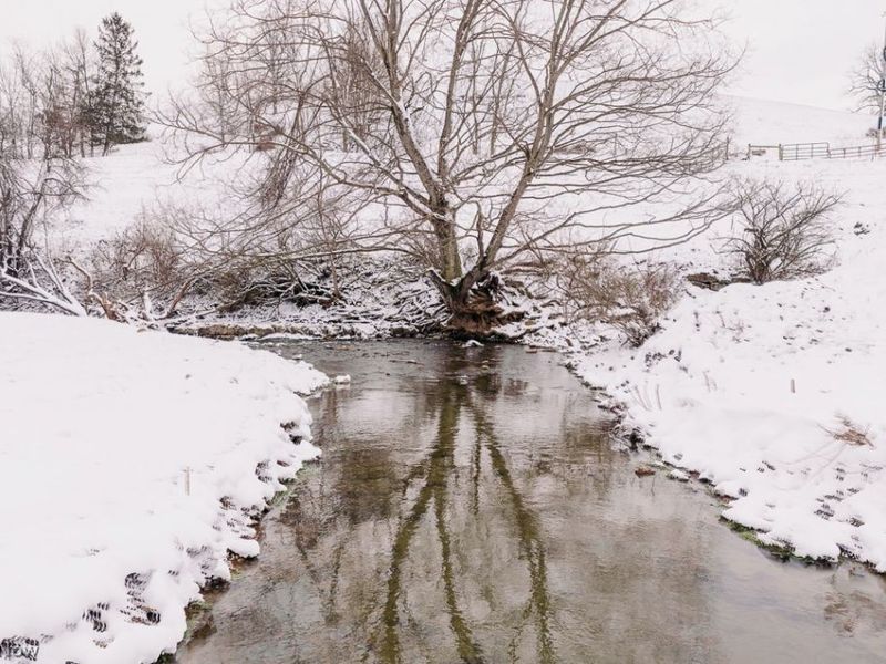 68895 Lloydsville Bannock Road, Belmont, OH 43718 Photo 48