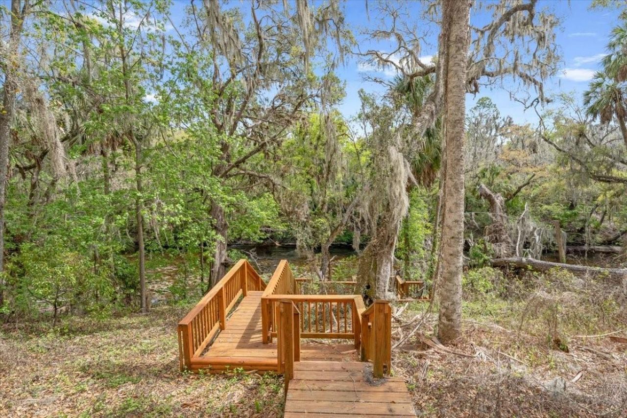 1141 Myrtle Road, Valrico, FL 33596 Photo