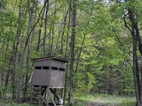 40+/- Acres 48th Street, Chase, MI 49623