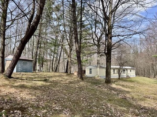 40+/- Acres 48th Street, Chase, MI 49623