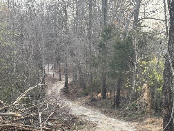 2141 Union Chapel Road , Scottsville, KY 42164