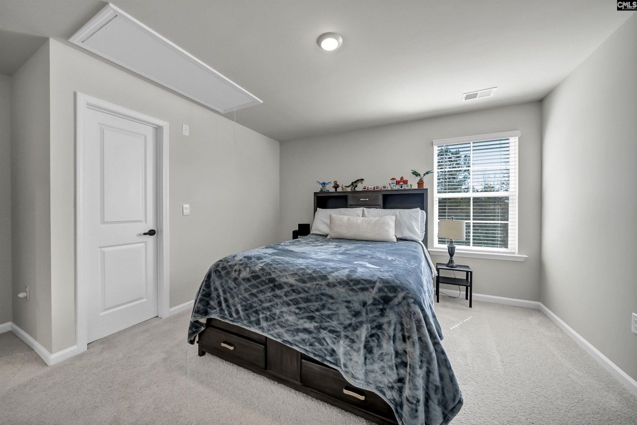 281 Carrington Drive Photo 27