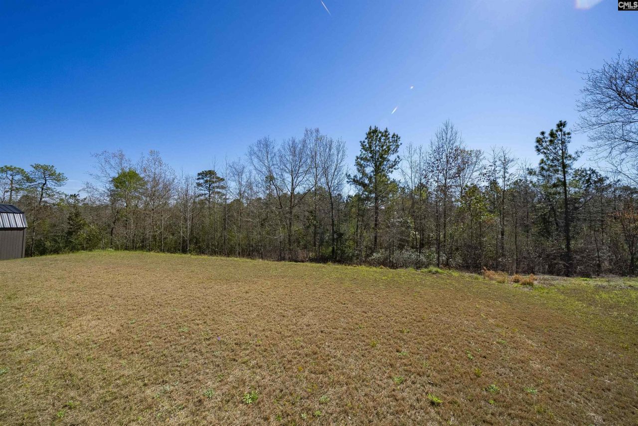 281 Carrington Drive Photo 36