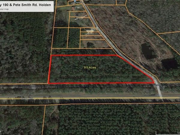 PETE SMITH Road, Holden, LA 70744