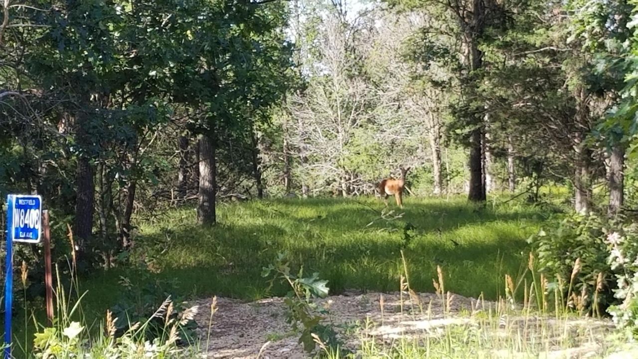 W8408 Elk Avenue, Oxford, WI 53952 Main Photo