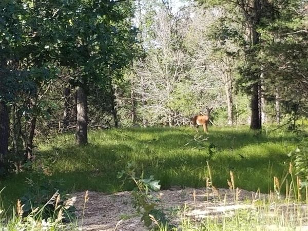 W8408 Elk Avenue, Oxford, WI 53952