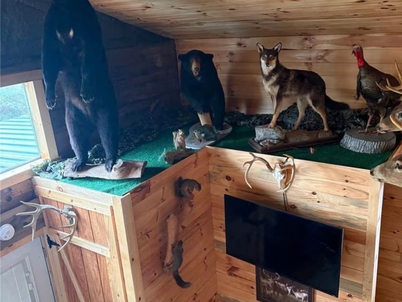 842 Windy Ridge, Elizabeth, WV 26143 Photo 10