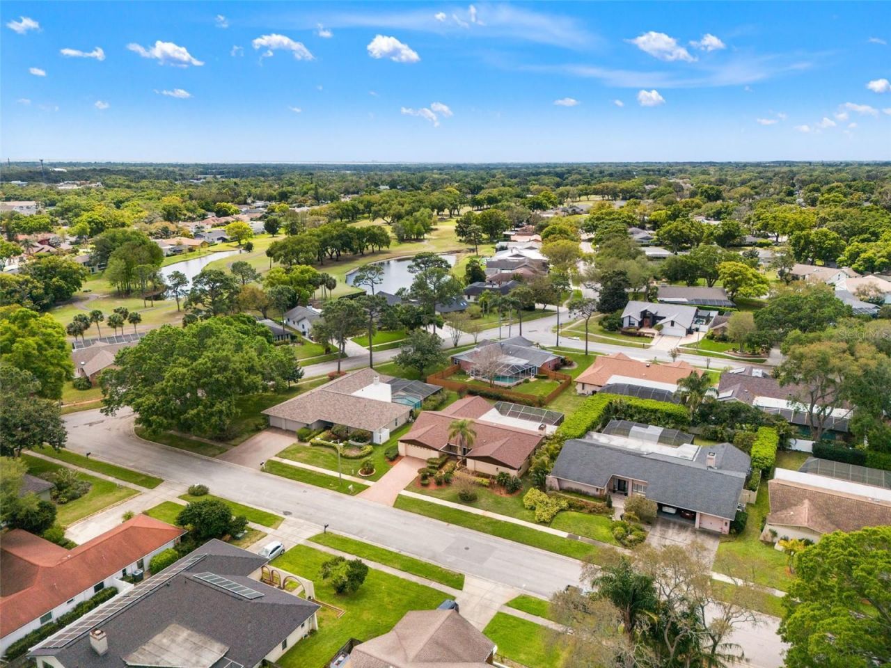 2889 Fair Green Drive, Clearwater, FL 33761 Photo