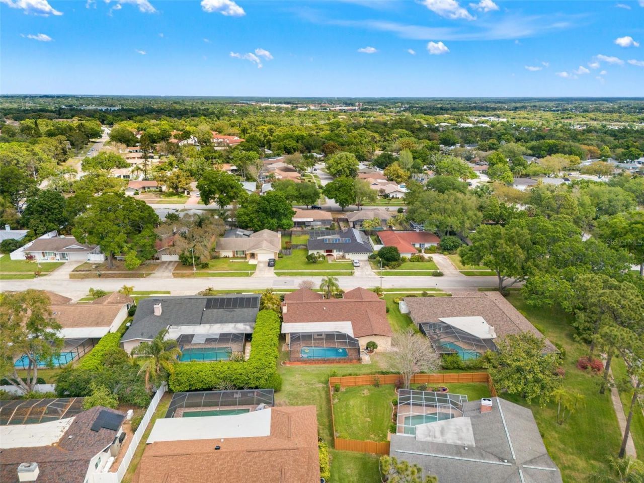 2889 Fair Green Drive, Clearwater, FL 33761 Photo