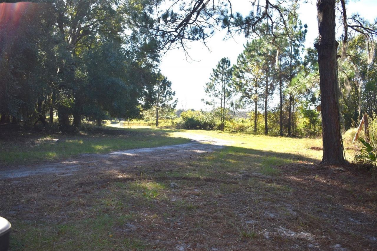 13800 County Road 450, Umatilla, FL 32784 Photo