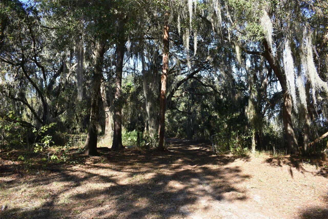 13800 County Road 450, Umatilla, FL 32784 Photo