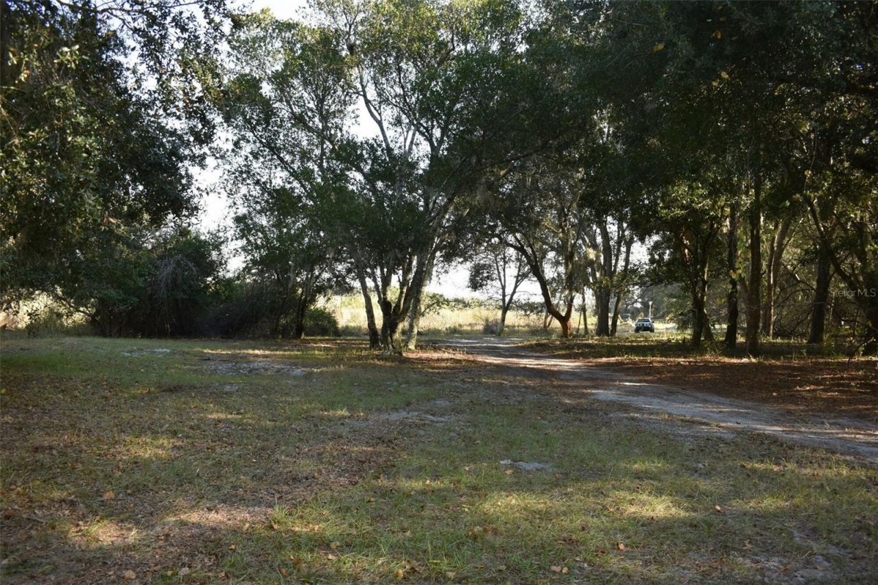 13800 County Road 450, Umatilla, FL 32784 Photo