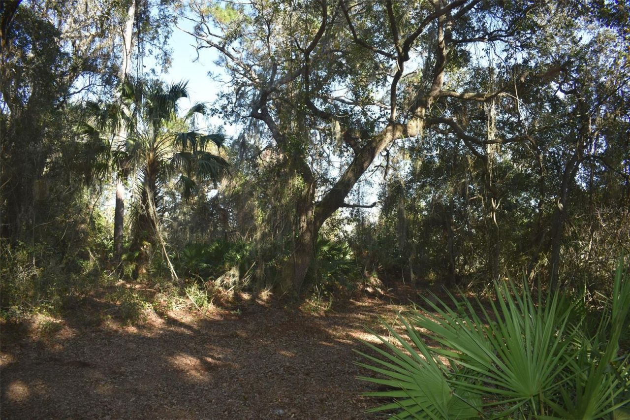 13800 County Road 450, Umatilla, FL 32784 Photo