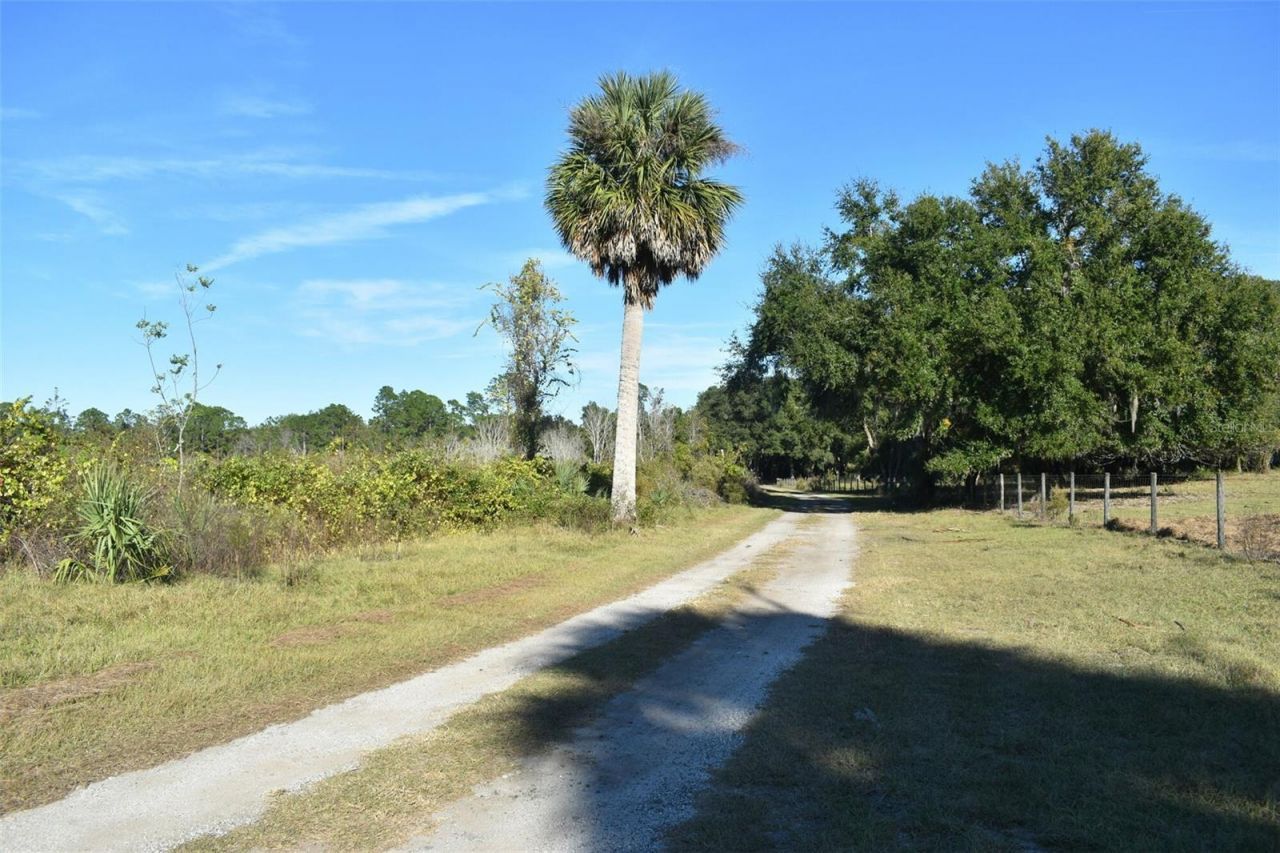 13800 County Road 450, Umatilla, FL 32784 Photo
