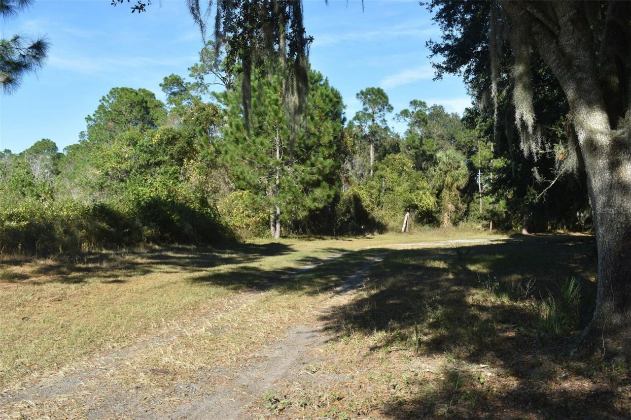 13800 County Road 450, Umatilla, FL 32784 Photo