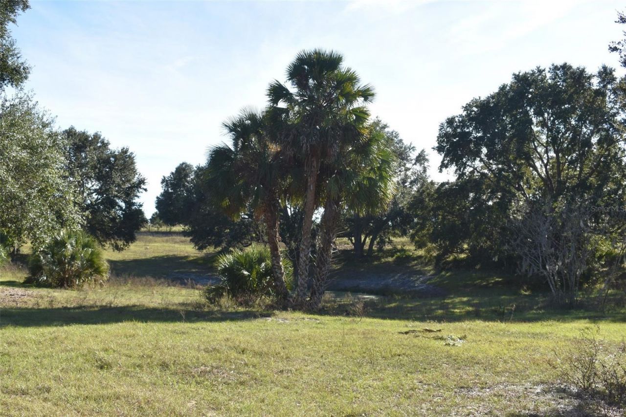 13800 County Road 450, Umatilla, FL 32784 Photo