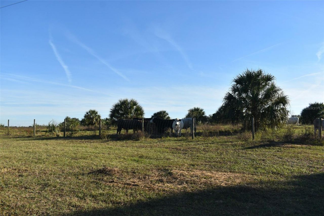 13800 County Road 450, Umatilla, FL 32784 Photo