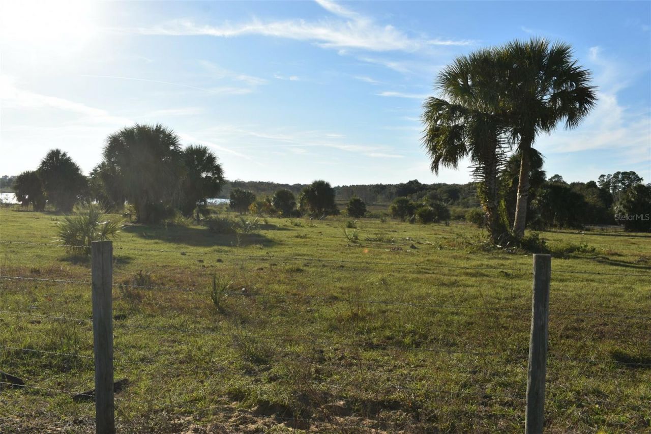 13800 County Road 450, Umatilla, FL 32784 Photo