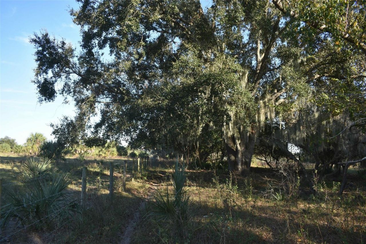 13800 County Road 450, Umatilla, FL 32784 Photo