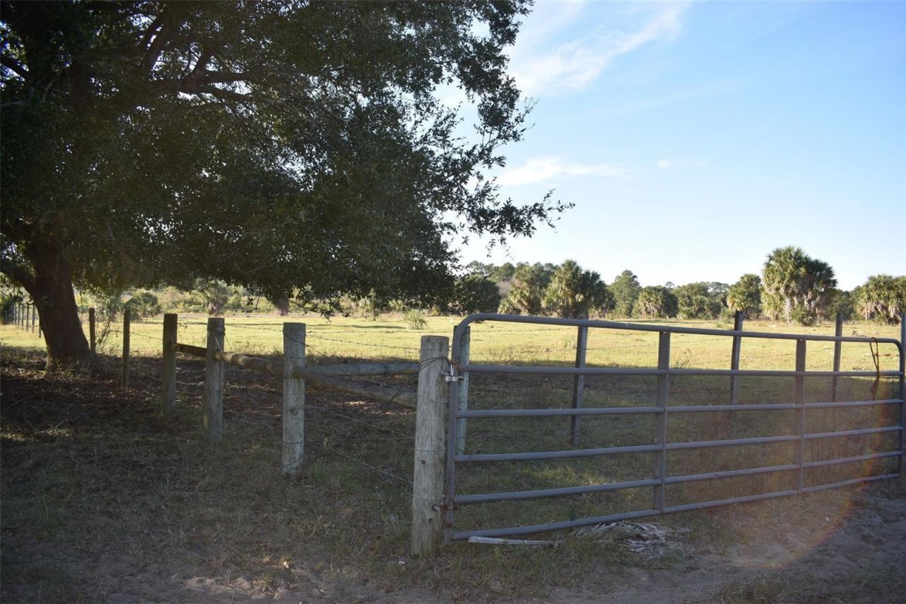 13800 County Road 450, Umatilla, FL 32784 Photo