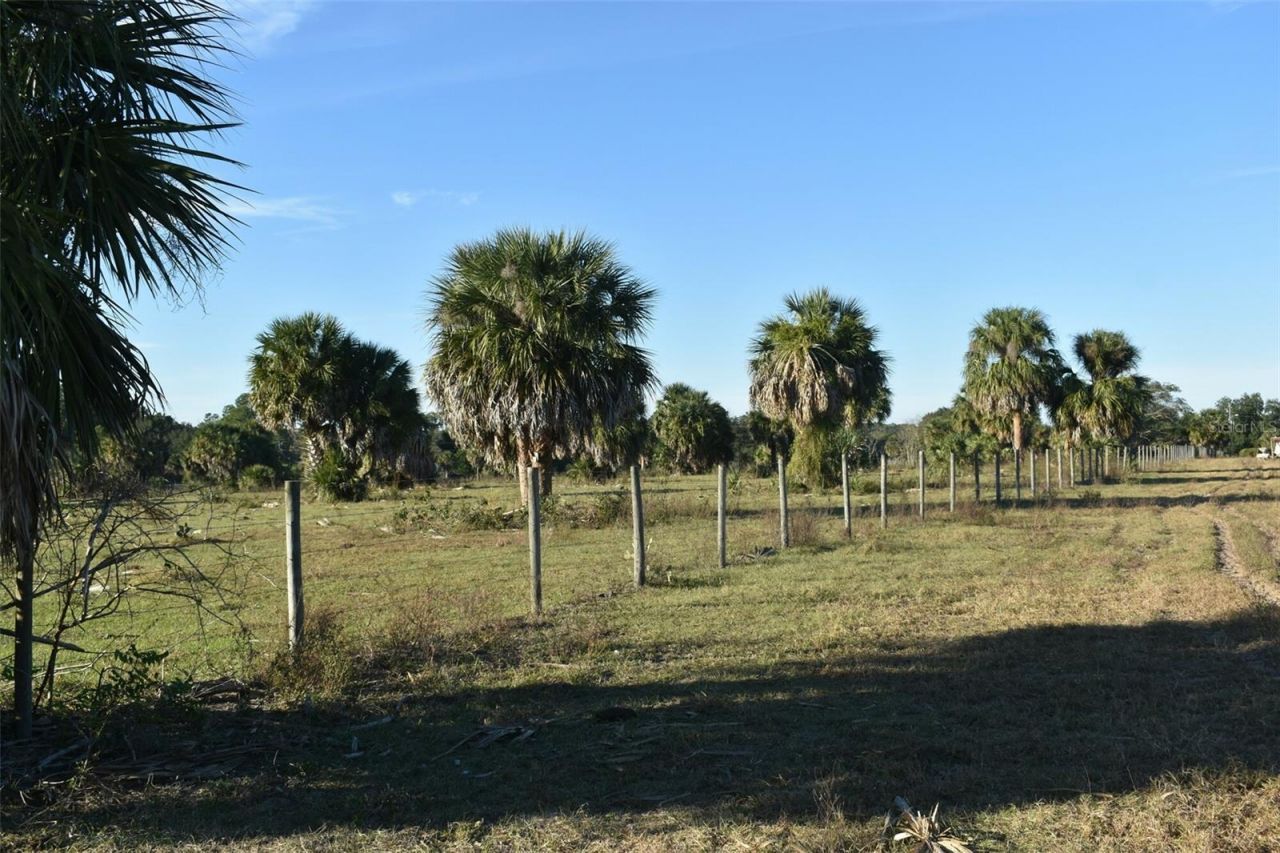 13800 County Road 450, Umatilla, FL 32784 Photo