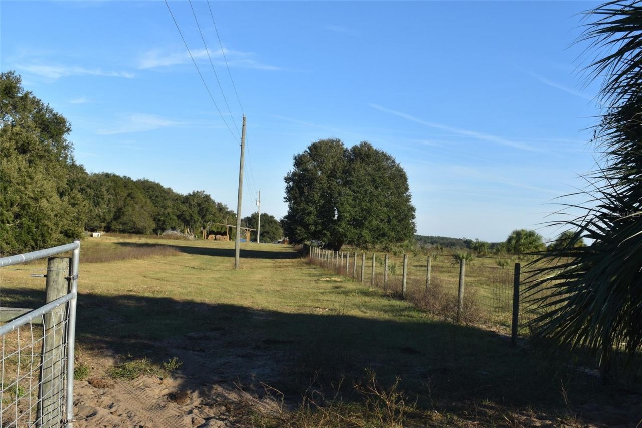 13800 County Road 450, Umatilla, FL 32784 Photo