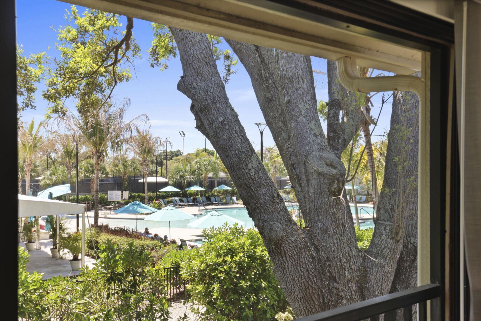 5172 SE Club Way, Unit 207, Stuart, FL 34997 Photo