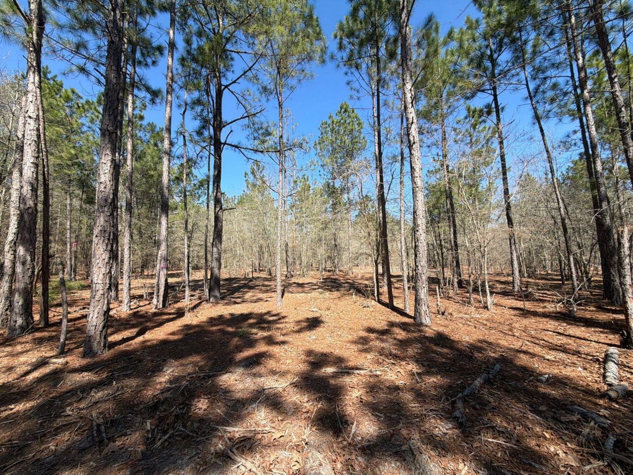 Bhl 13 Boise Cascade Photo 11