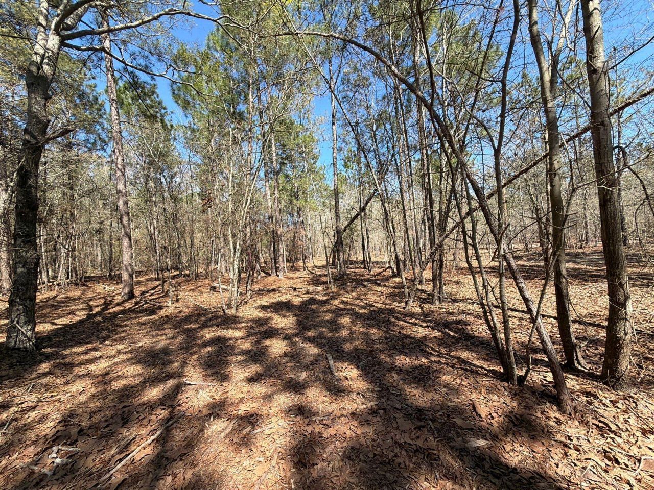 Bhl 13 Boise Cascade Photo 14