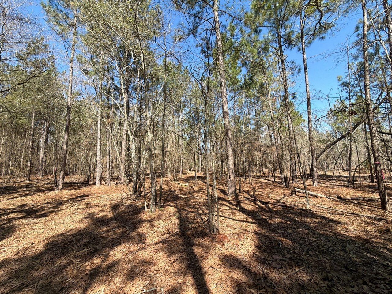 Bhl 13 Boise Cascade Photo 16