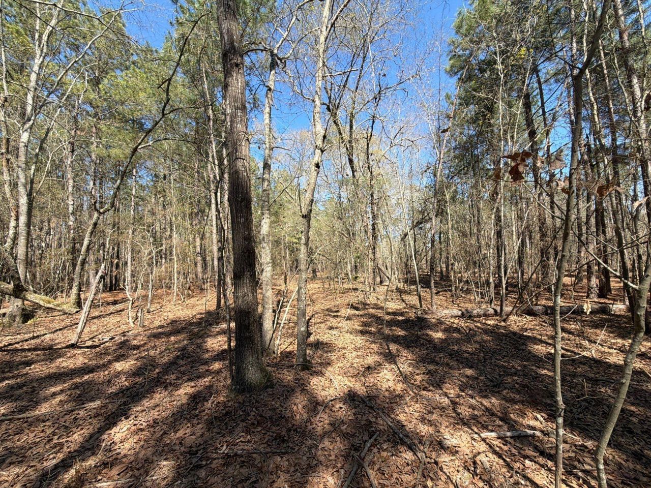 Bhl 13 Boise Cascade Photo 18