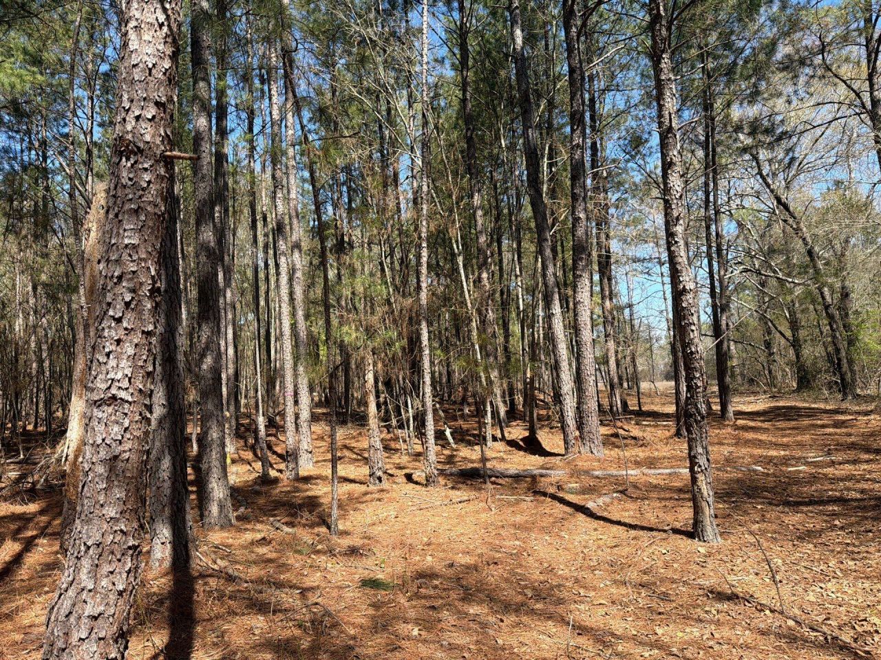 Bhl 13 Boise Cascade Photo 19