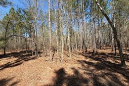 Bhl 13 Boise Cascade photo 4