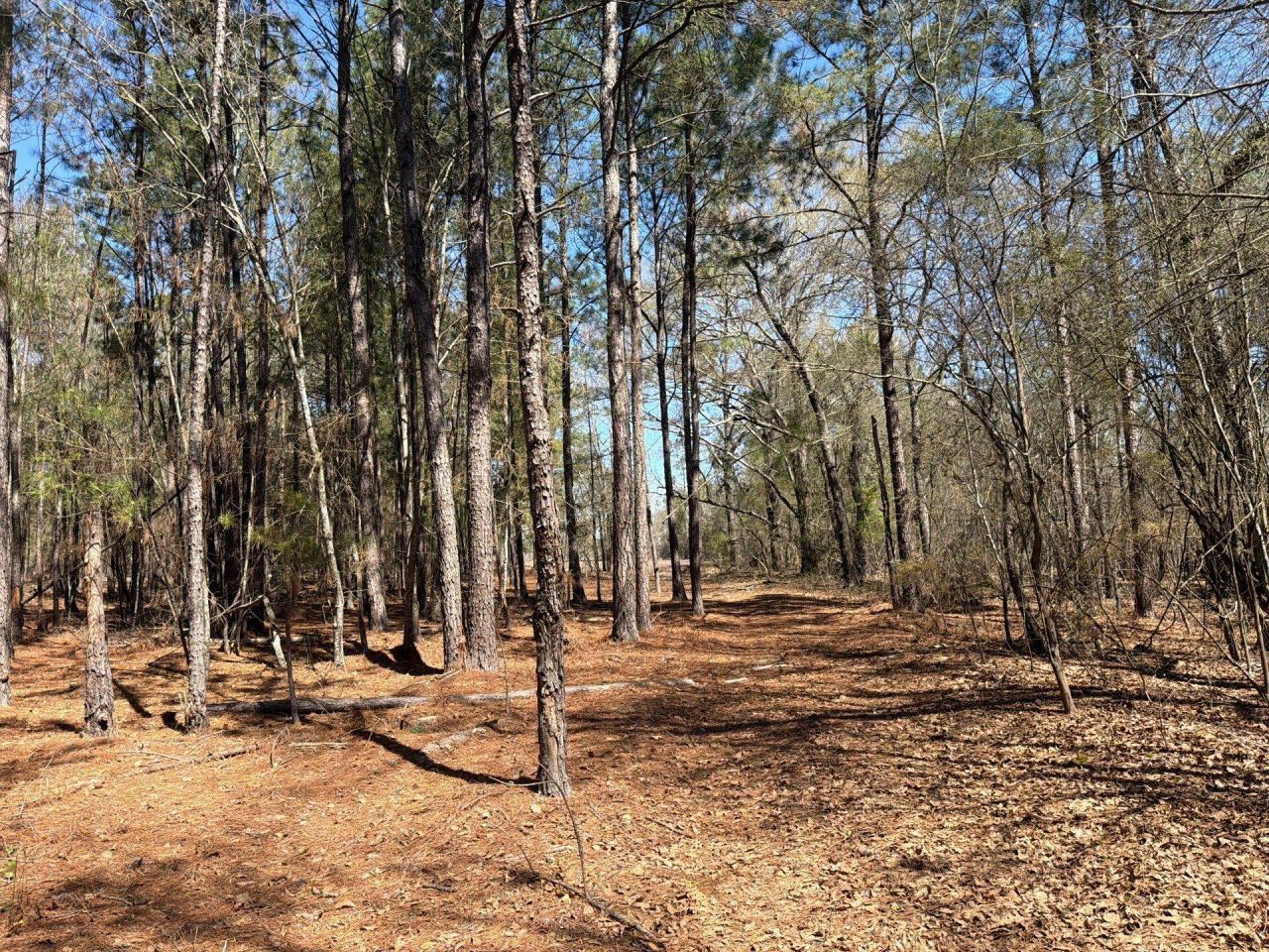 Bhl 13 Boise Cascade Photo 20