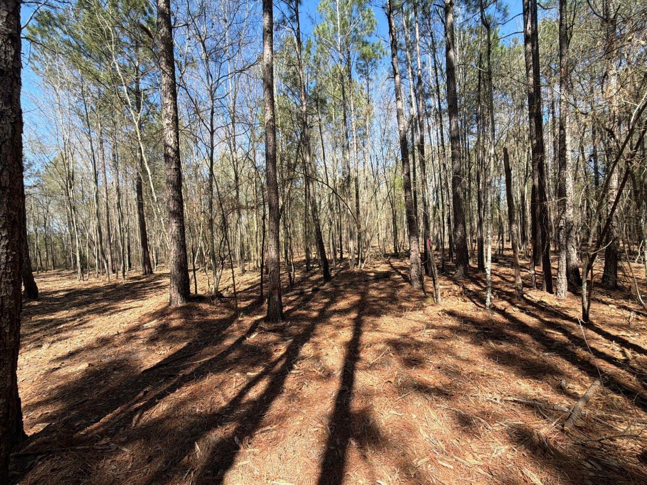 Bhl 13 Boise Cascade Photo 24