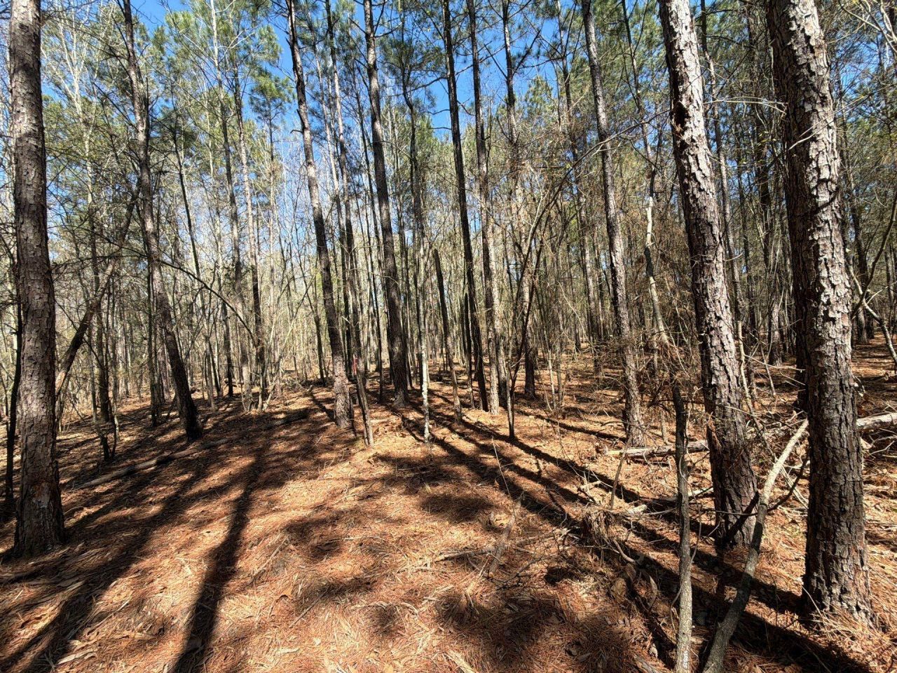 Bhl 13 Boise Cascade Photo 25