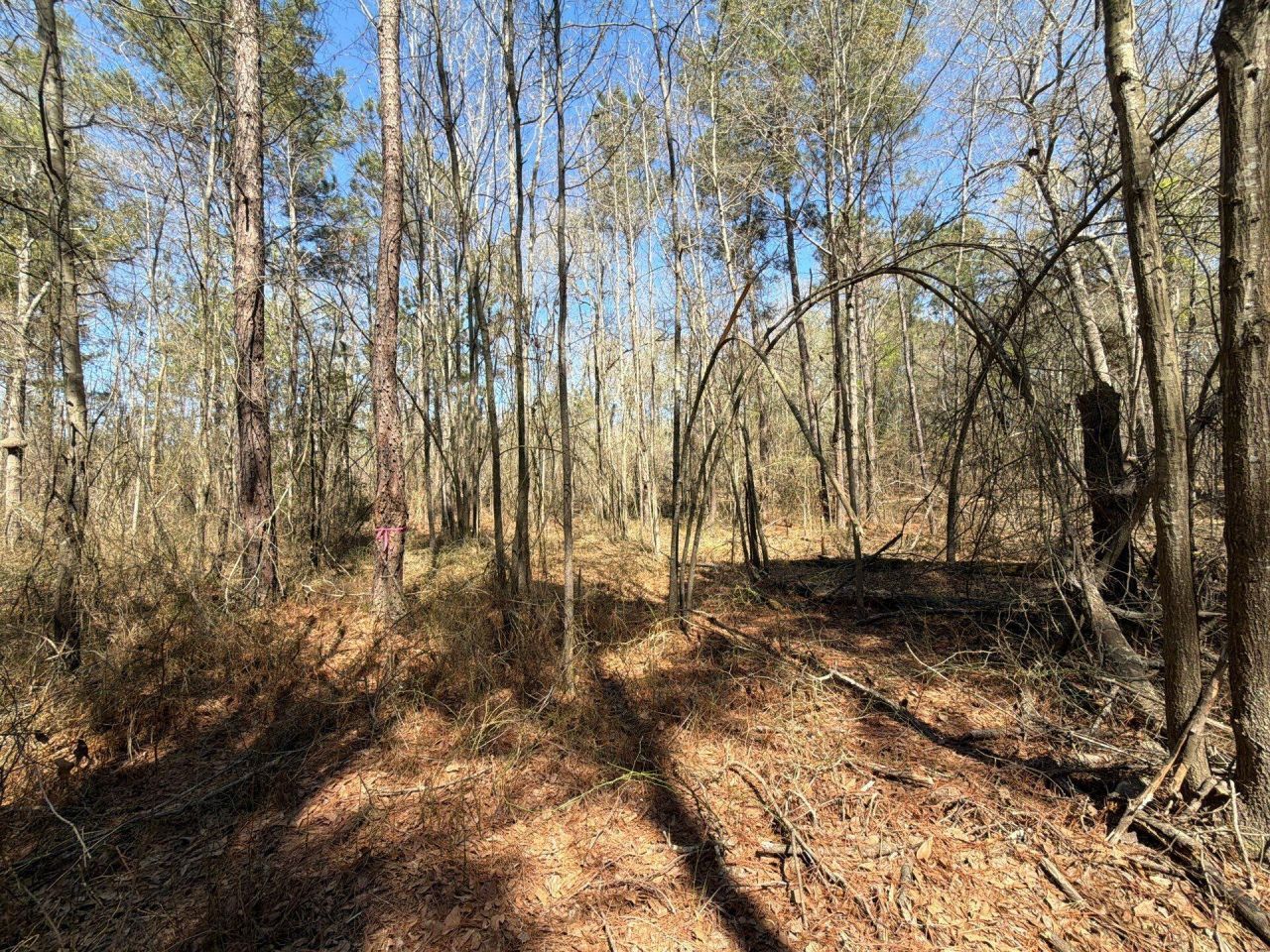 Bhl 13 Boise Cascade Photo 26