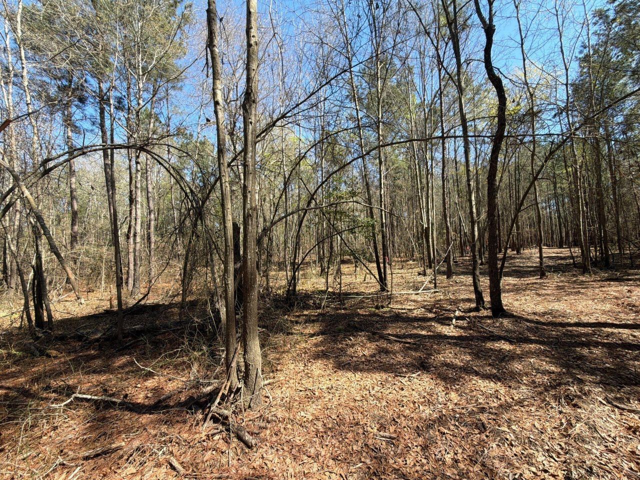 Bhl 13 Boise Cascade Photo 27