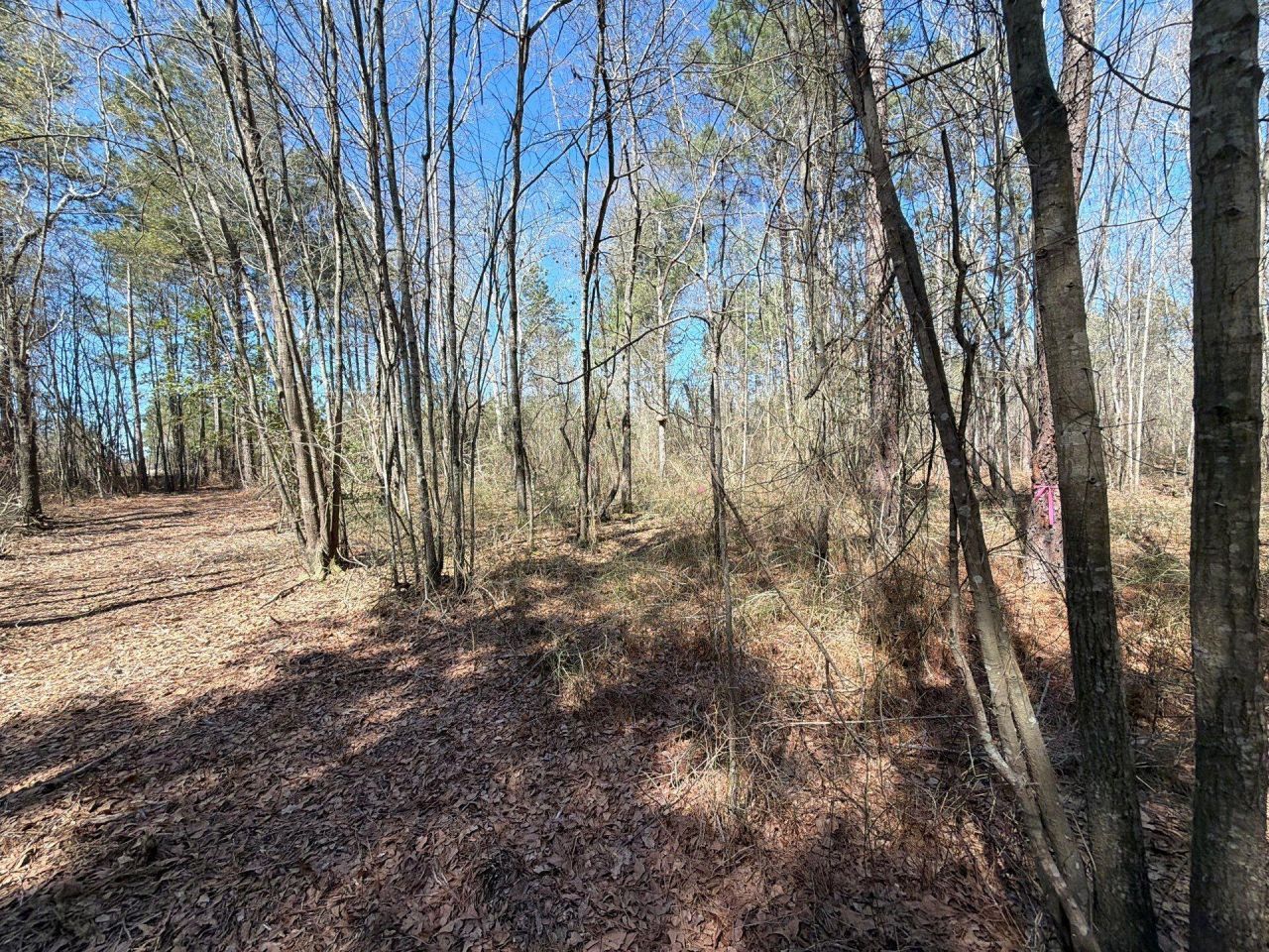 Bhl 13 Boise Cascade Photo 28