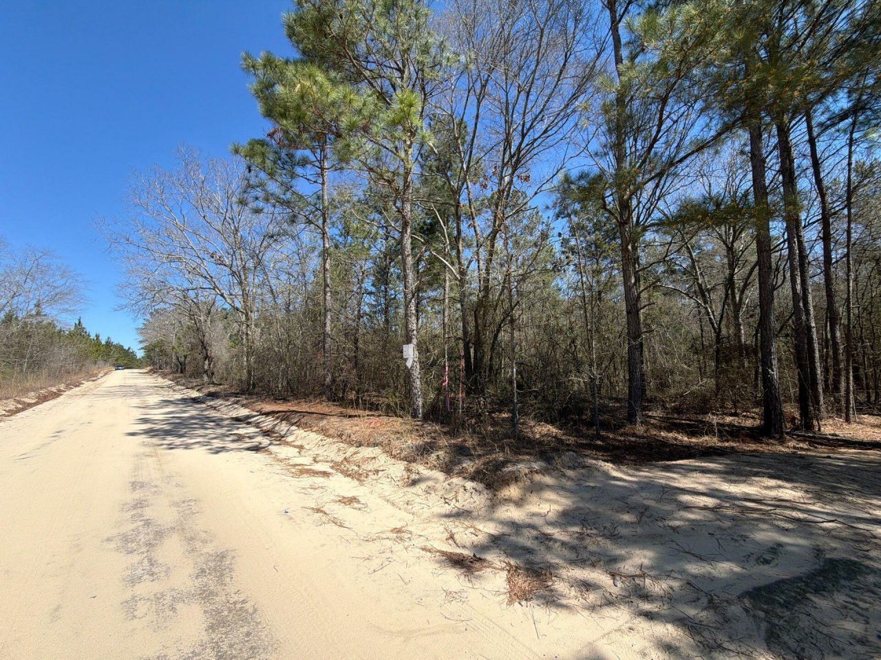 Bhl 13 Boise Cascade Photo 29