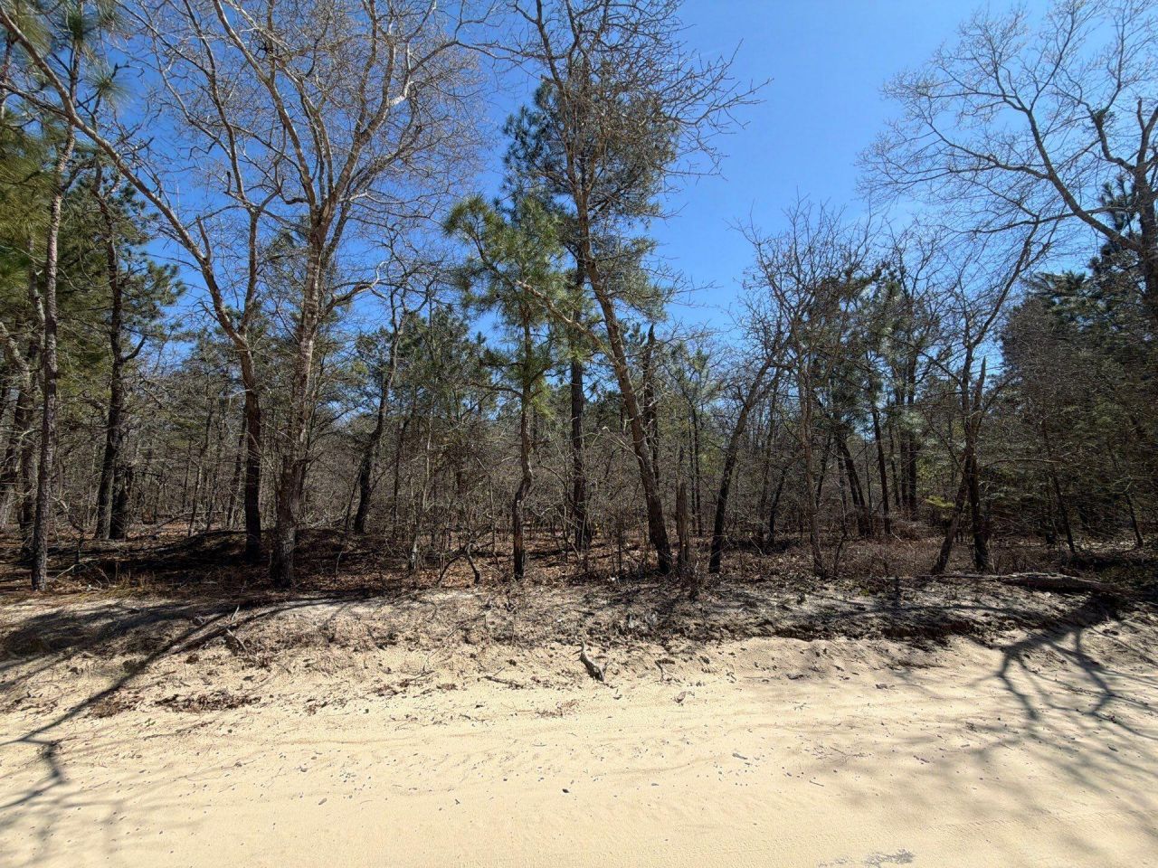 Bhl 13 Boise Cascade Photo 34