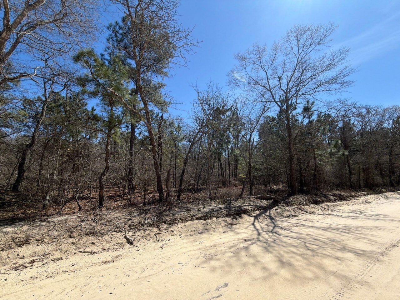 Bhl 13 Boise Cascade Photo 35