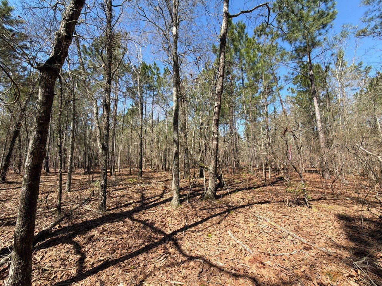 Bhl 13 Boise Cascade Photo 4