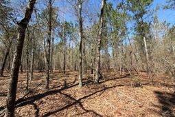 Bhl 13 Boise Cascade photo 4