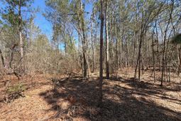 Bhl 13 Boise Cascade photo 4