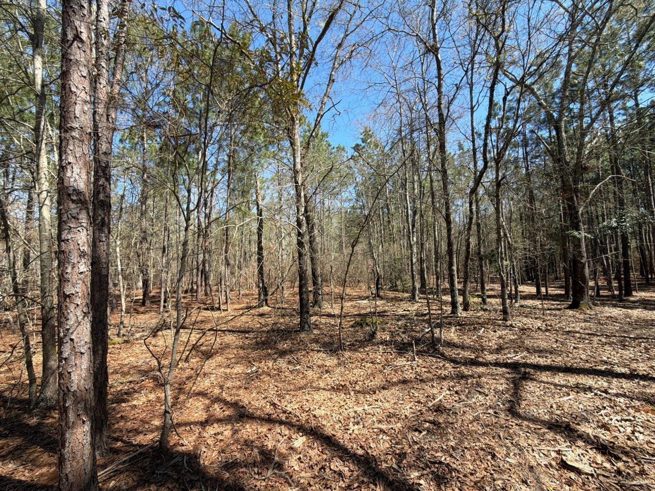 Bhl 13 Boise Cascade Photo 8