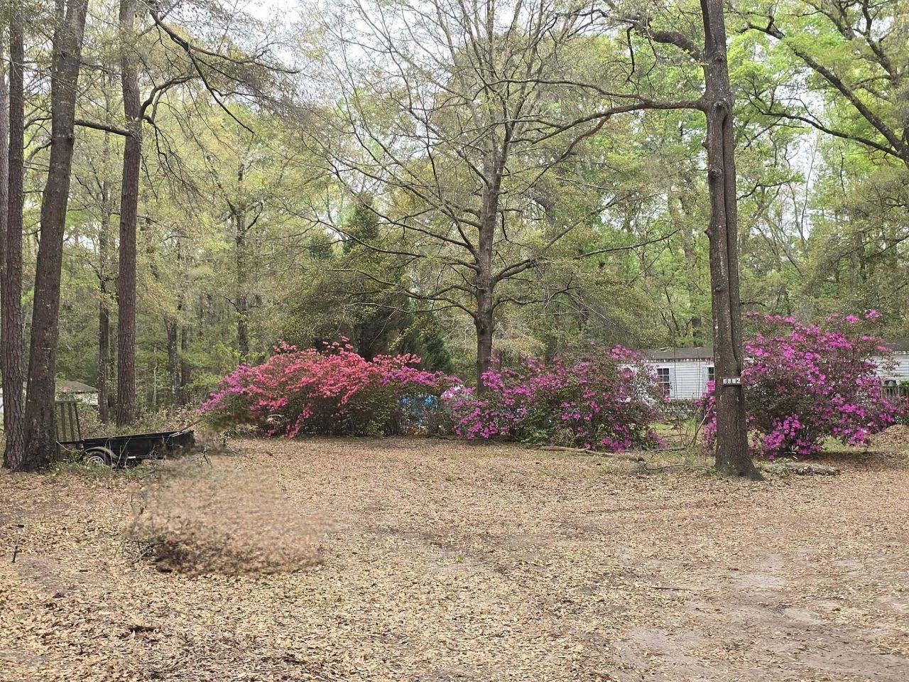 6810 Ingalsbe Drive Photo 18