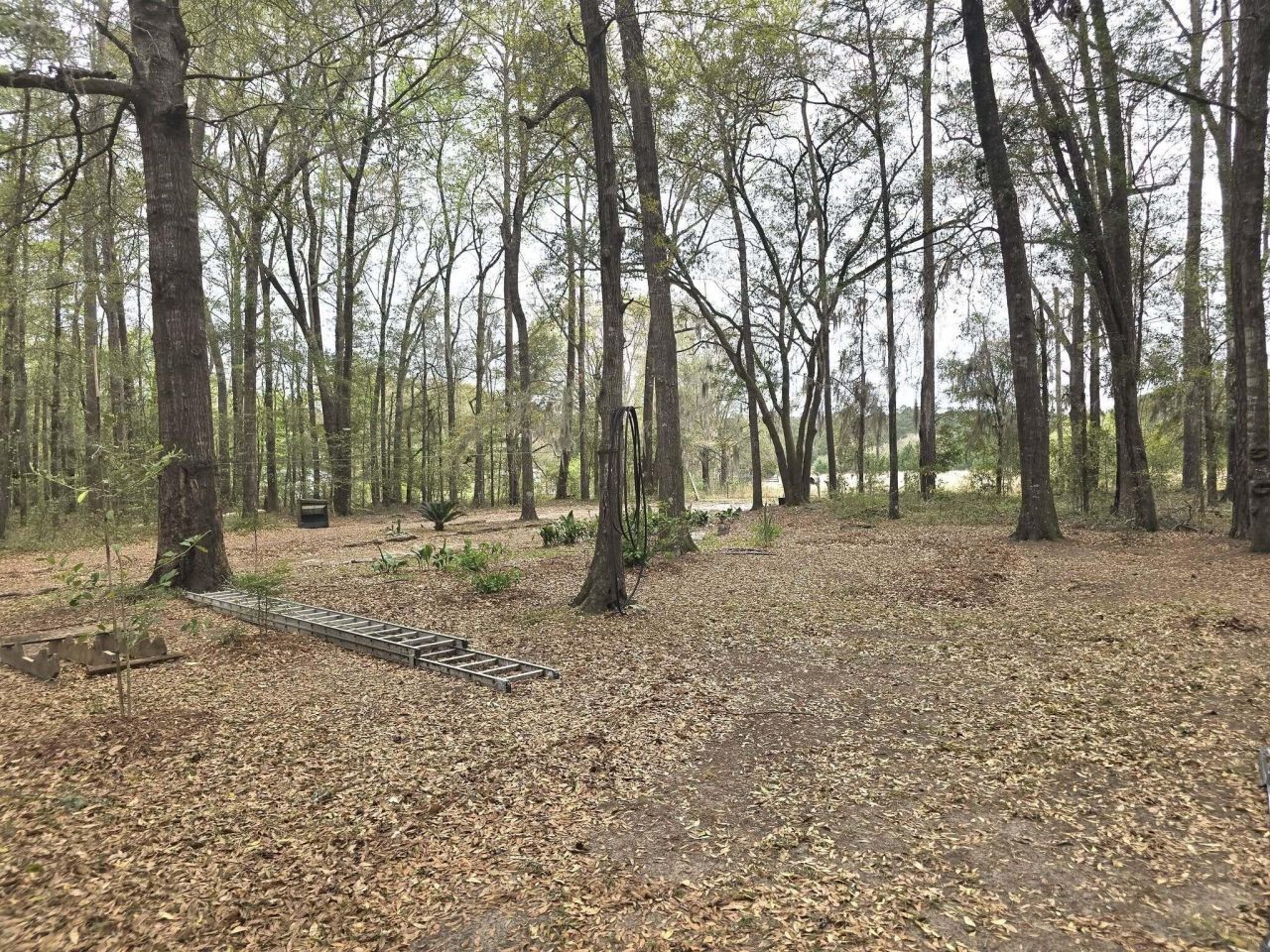 6810 Ingalsbe Drive Photo 27